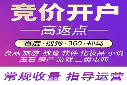 竞价推广SEM托管成功案例：从零到一的突破